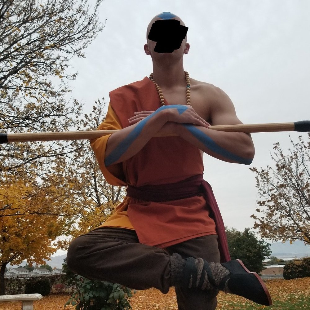 Avatar the Last Airbender Cosplay/Halloween Costume